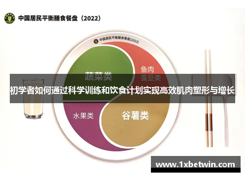 初学者如何通过科学训练和饮食计划实现高效肌肉塑形与增长