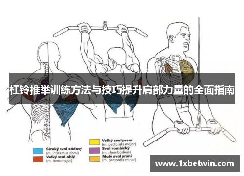 杠铃推举训练方法与技巧提升肩部力量的全面指南