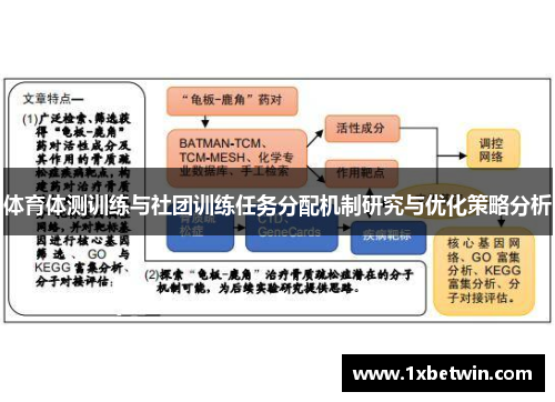 体育体测训练与社团训练任务分配机制研究与优化策略分析